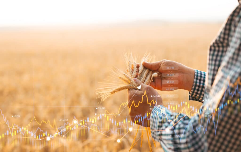 Illustration champ de blé avec courbe volatilité des prix