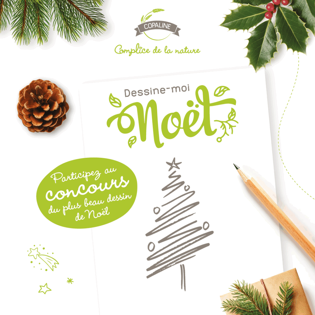 1080x1080_Post-Noël_GMP-copaline