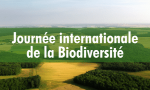 Featured Image: International Day for Biological Diversity