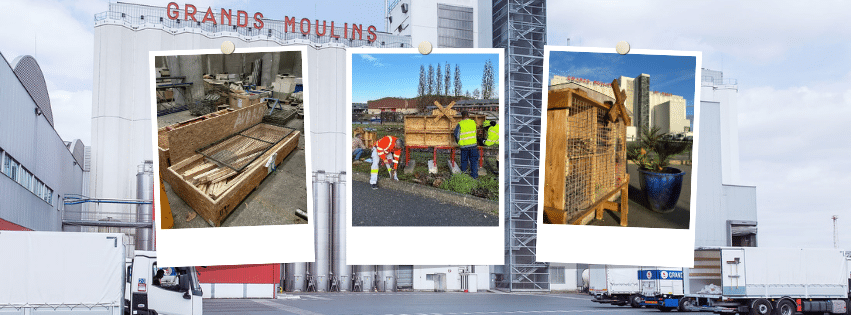 hotels-insects-mills-paris-gennevilliers (1)
