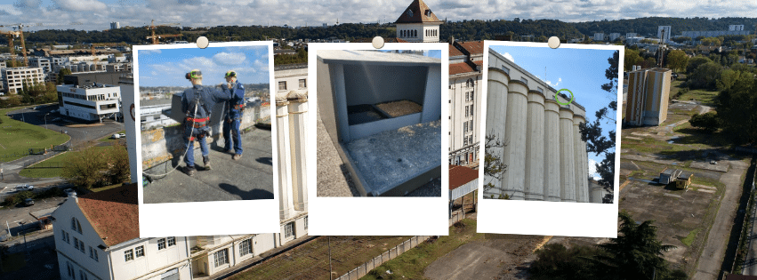 falcon-nest-box-mill-bordeaux