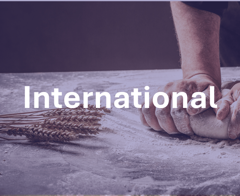 CTA International - page d'accueil site instit